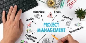 Hire Professional Project Management In Auckland To Succeed
