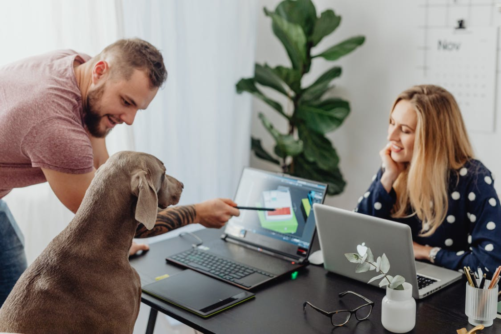 Pros and cons of a pet-friendly office