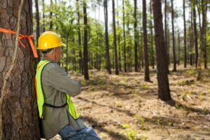 Forestry, Navigators & Surveyors Tools